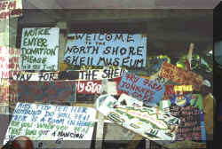 NCL2001-103Day6b - Tortola Shell Museum - Sign-Low.jpg (99468 bytes)