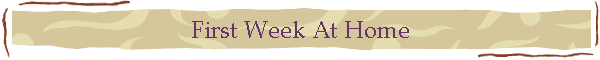 First Week At Home