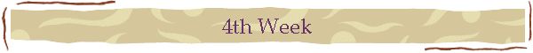 4th Week