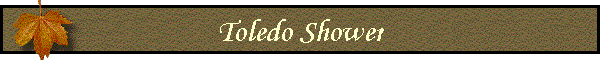 Toledo Shower
